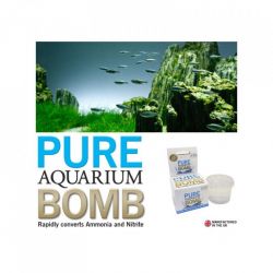 aquarium_pure_bomb