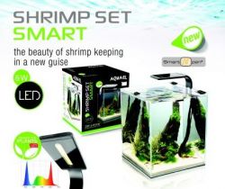 shrimp_set