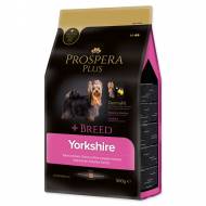PROSPERA Plus Yorkshire