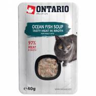 ONTARIO Cat Soup Ocean Fish with vegetables