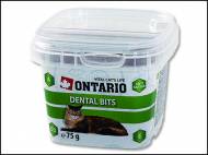 Pamlsky pro kočky ONTARIO Snack Dental Bits