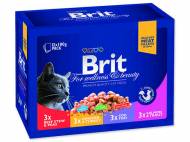 Kapsičky pro kočky BRIT Premium Cat Family Plate