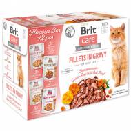 BRIT Care Cat Flavour box Fillet in Gravy, 4x3 pcs. (12x85 g)