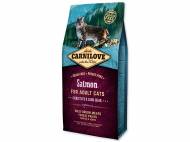 CARNILOVE Salmon Adult Cats Sensitive and Long Hair 6 kg