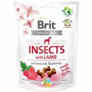 Brit Care Dog Crunchy Cracker. Insects with Lamb enriched with Raspberries