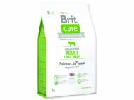 BRIT Care Grain-free Adult Large Breed Salmon & Potato 3 kg