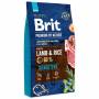 Krmivo BRIT Premium by Nature Sensitive Lamb 8 kg