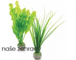 Rostlina BiOrb Easy plant set small green