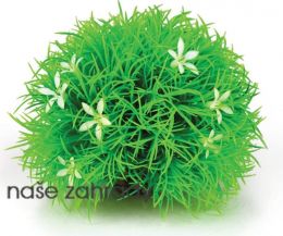 Rostlina BiOrb Topiary ball with daisies
