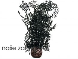 BiOrb černá mořská rostlina malá
