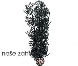 BiOrb černá mořská rostlina střední