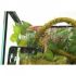 Liána s mechem ReptiZoo Jungle Vines 2x200cm