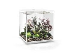 akvarijni_set