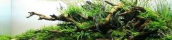 akvarium-22_2a