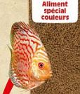 sera-discus-color-nature-10-l