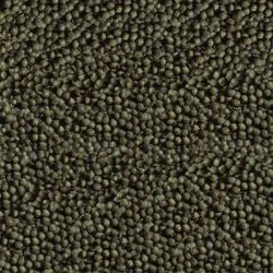 sera-goldy-color-spirulina