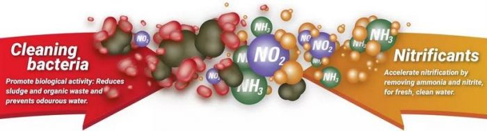  nitrifikační bakterie do akvária