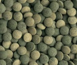 tetra-pleco_tablets