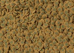 tetra_pleco_ veggie_wafers
