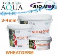 Evolution Aqua Wheatgerm 3-4 mm 800g
