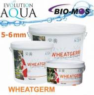 Evolution  Aqua Wheatgerm 5-6 mm 2kg