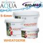 Evolution  Aqua Wheatgerm 5-6 mm 15kg