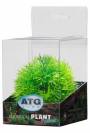 ATG Premium rostlina Mini 209
