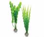 Rostlina BiOrb Easy plant set medium green