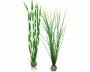 Rostlina BiOrb Easy plant set large green