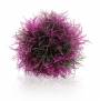 biOrb Aquatic colour ball purple