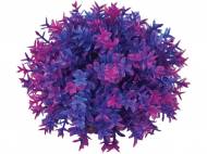 Rostlina BiOrb Flower Ball purple