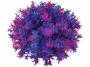 Rostlina BiOrb Flower Ball purple