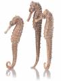 biOrb seahorse 3 pack natural