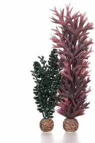 Rostliny biOrb seapearls & kelp dark green