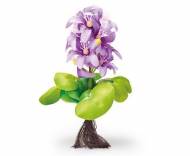 Pontec PondoHyacinth Blooming