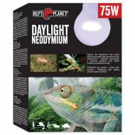 Žárovka REPTI PLANET Daylight Neodymium 75 W