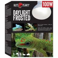 Žárovka REPTI PLANET Daylight Frosted 100 W