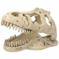 Dekorace REPTI PLANET T-REX lebka 13,3 cm