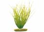 Rostlina MARINA Hairgrass 20 cm