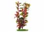 Rostlina Red Ludwigia 20cm