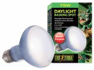 Terarijní žárovka Daylight Basking Spot 75 W
