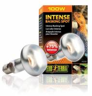 Žárovka do terária Intense Basking Spot 100 W