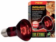 Žárovka EXO TERRA Infrared Basking Spot 75 W