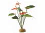 ExoTerra Anthurium Bush