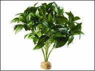 ExoTerra Laurel Bush