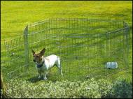 Ohrádka Dog Park 1