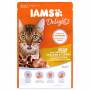 Kapsička IAMS Cat Delights Chicken a Turkey in Gravy