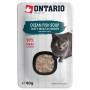 ONTARIO Cat Soup Ocean Fish with vegetables