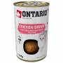 ONTARIO Kitten Drink Chicken