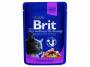 BRIT Premium Cat Salmon & Trout kapsička 100 g